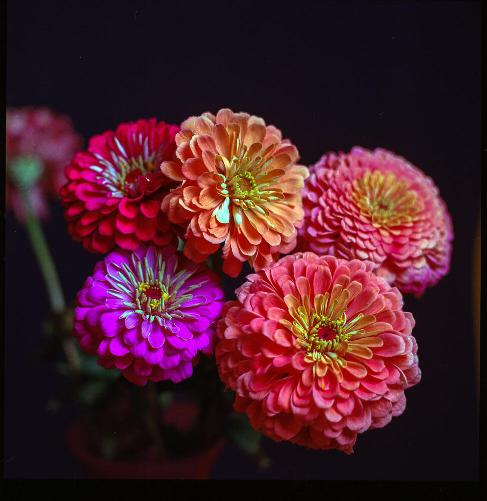 I look forward to the farmers market.